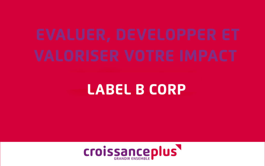 Evaluer, Développer, Valoriser Votre Impact ! - Label B Corp ...